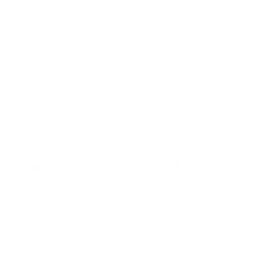 logo transparente